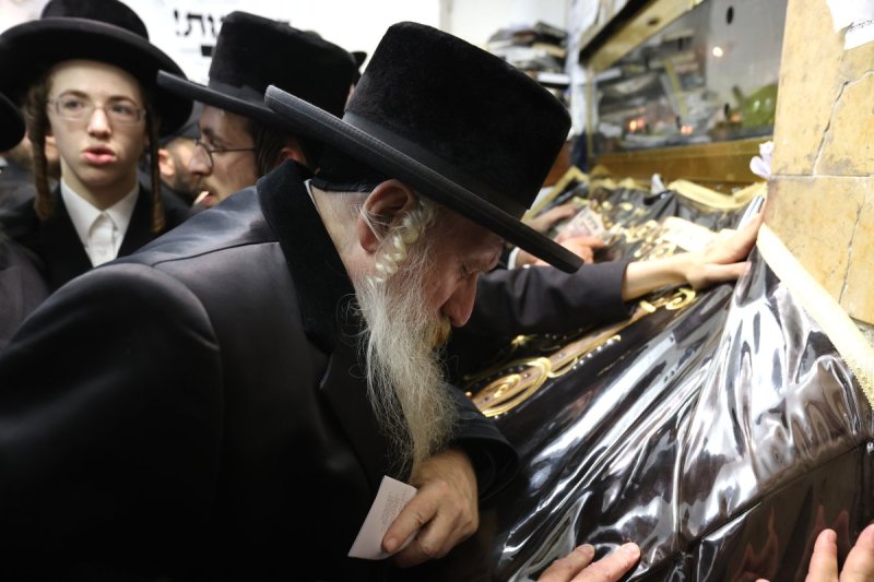 דוד כהן