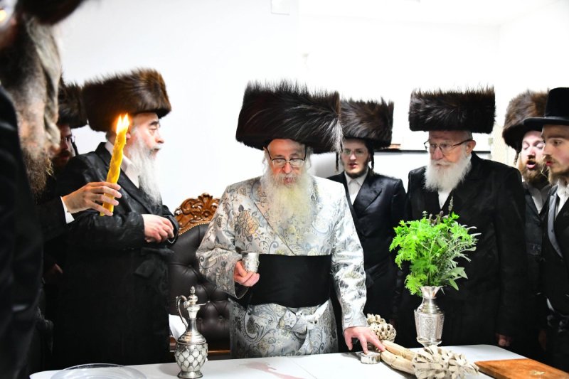 שוקי לרר
