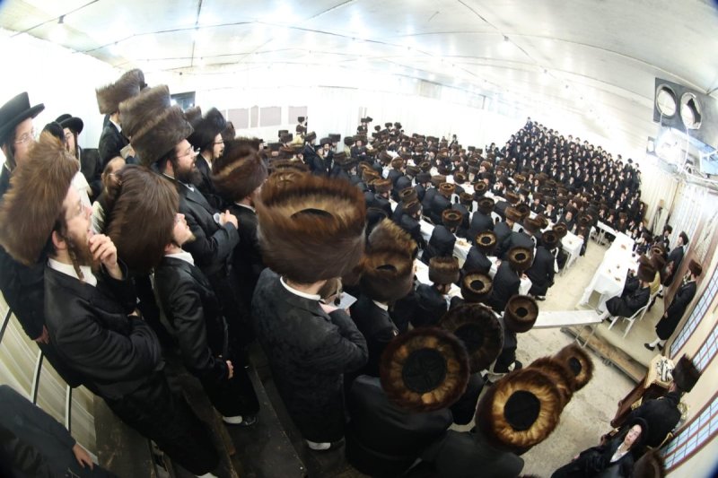 שלומי טריכטר