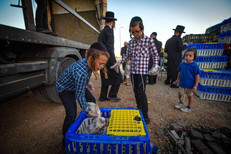 ארי קופרשטוק