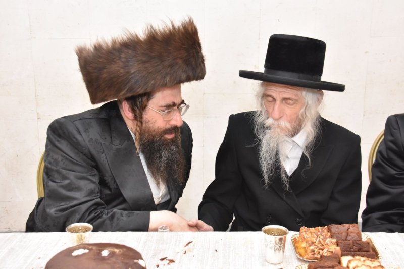 יהודה פרקוביץ