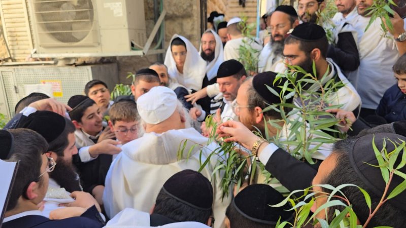 שלומי טריכטר ומ.פ