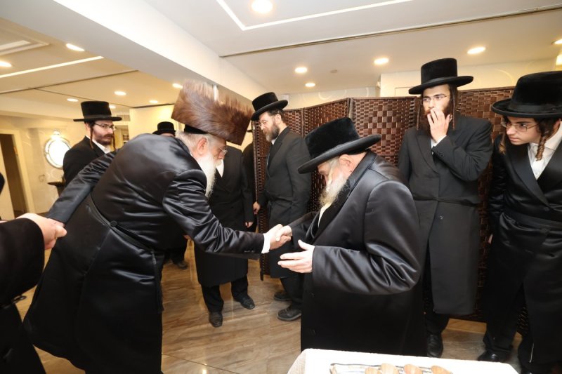 משה גולדשטיין דוד ארזני