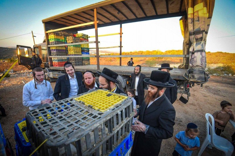 ארי קופרשטוק