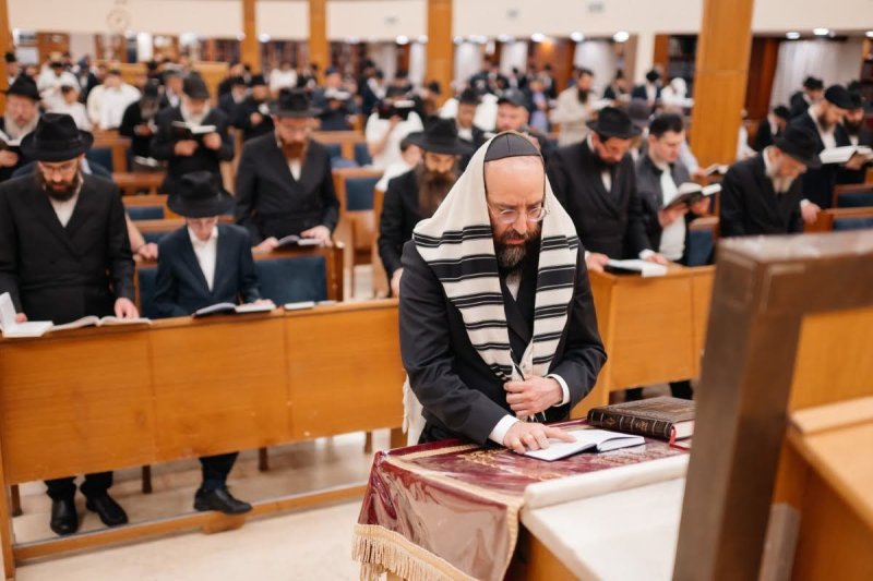 דוברות הקהילה