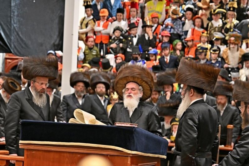 יהושע פרוכטר