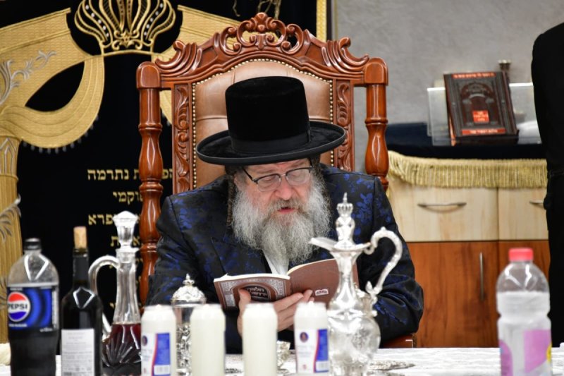 יוסי לוי