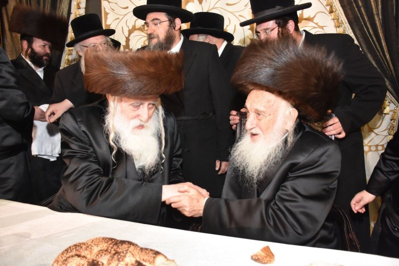 יהודה פרקוביץ