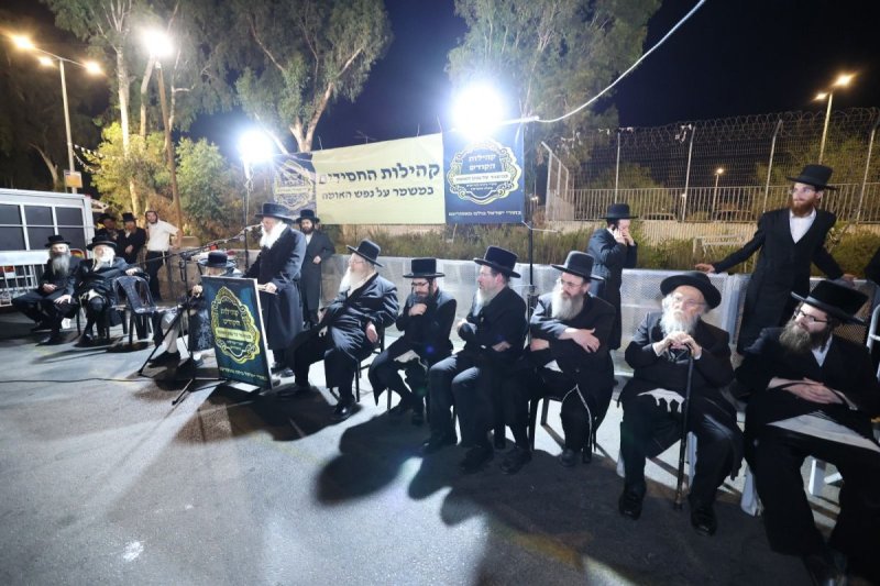 קובי הר צבי