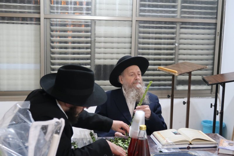 י. פריד