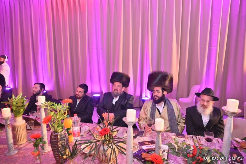 יהושע פרוכטר