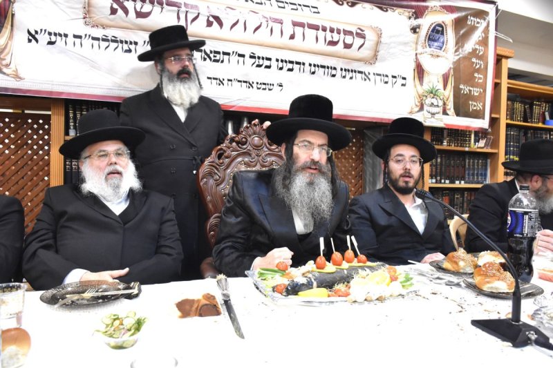 יהודה פרקוביץ