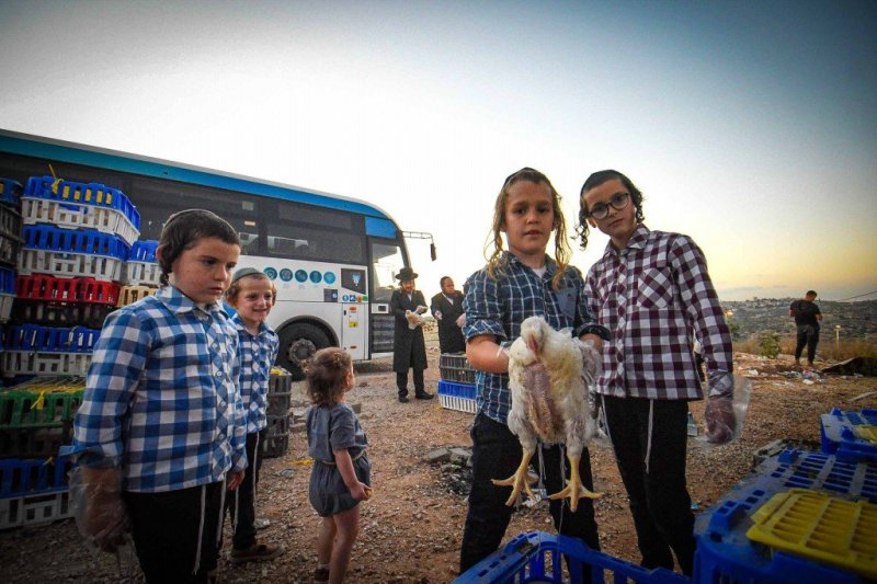 ארי קופרשטוק