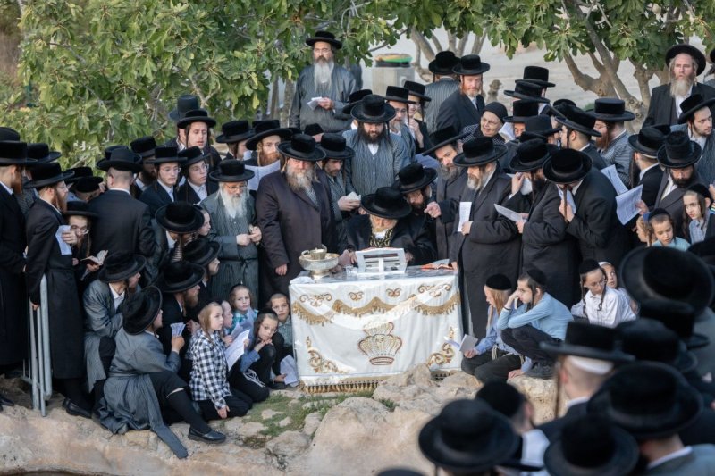 חיים גולדברג - פלאש 90