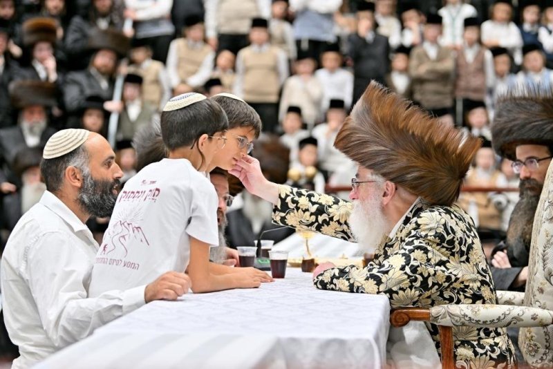 יהושע פרוכטר