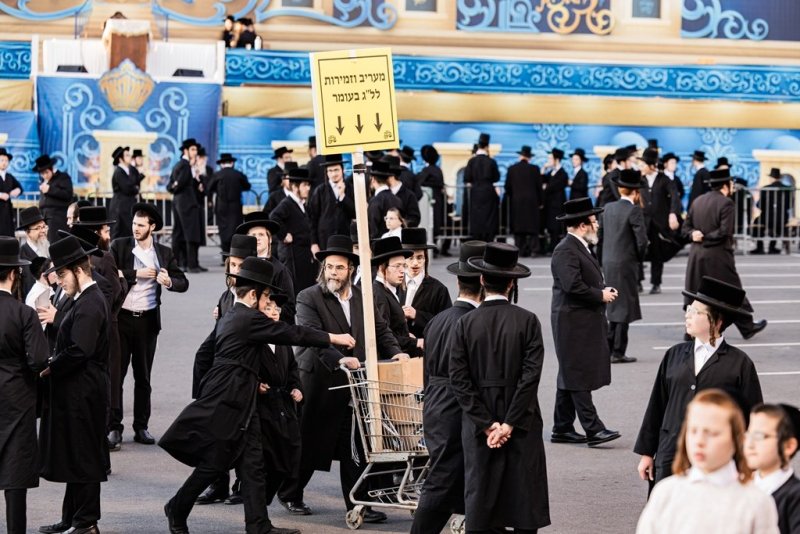 י. שטיין, שלום קליין ושלום שוורץ