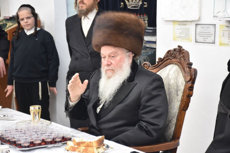 יהודה פרקוביץ