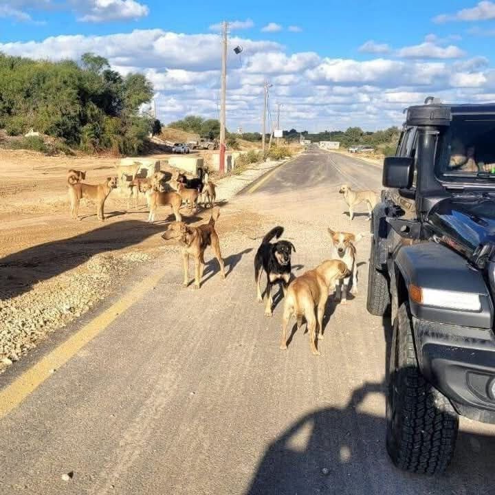 לפי סעיף 27א' לחוק זכויות יוצרים