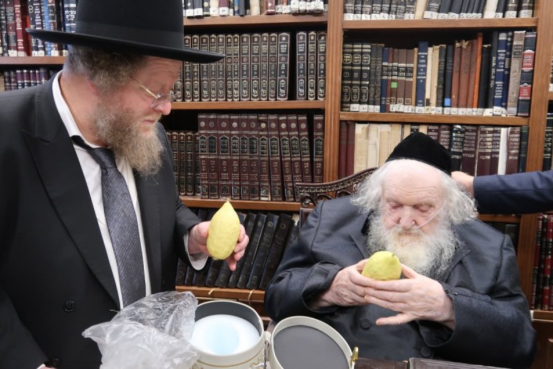 באדיבות המצלם