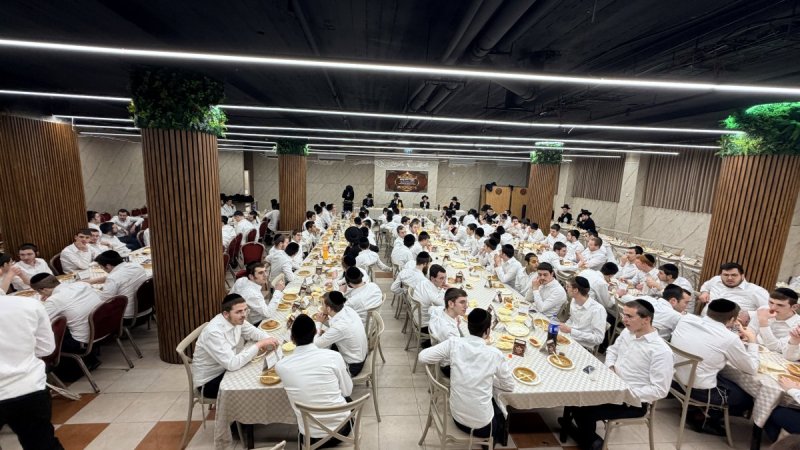 אלעזר פיינשטיין