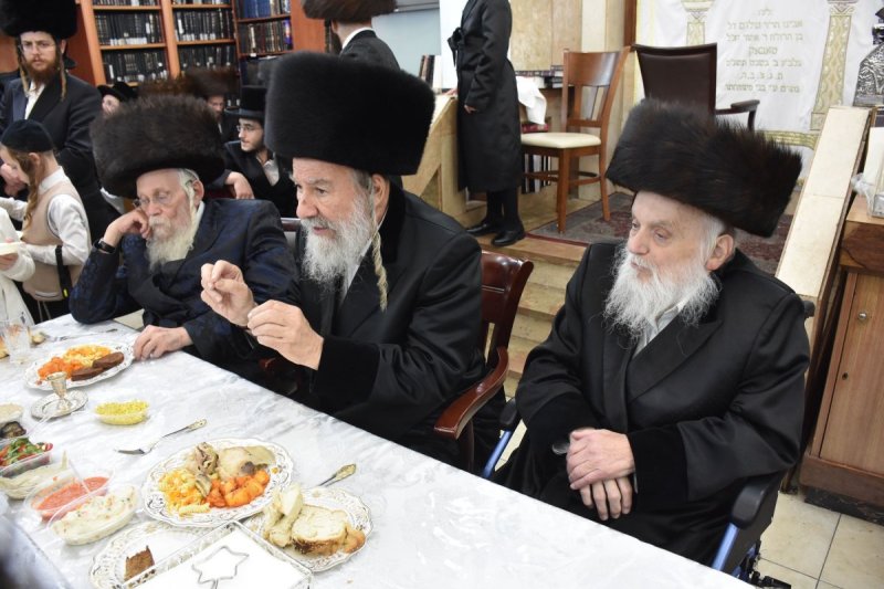 יהודה פרקוביץ