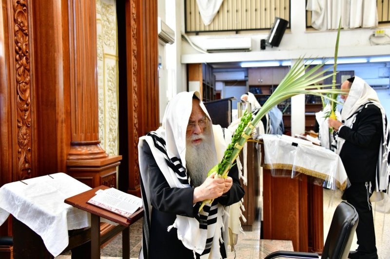 שוקי לרר