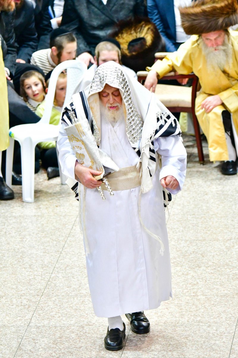 שוקי לרר