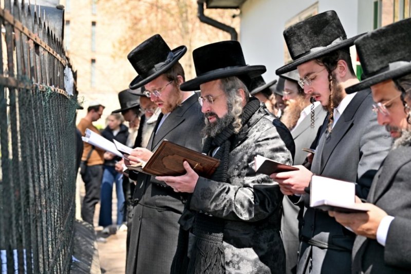 יהושע פרוכטר