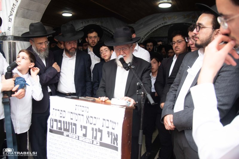 עזרא טרבלסי