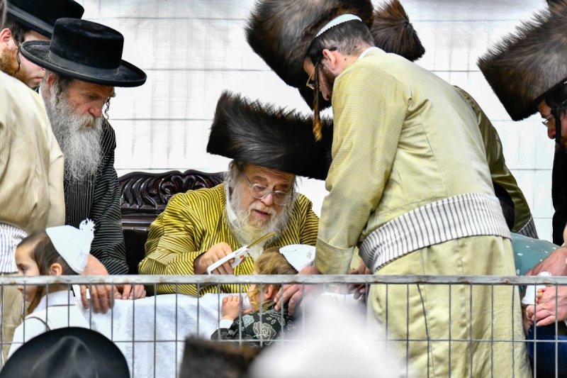 שוקי לרר