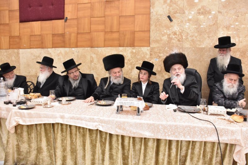 יהודה פרקוביץ