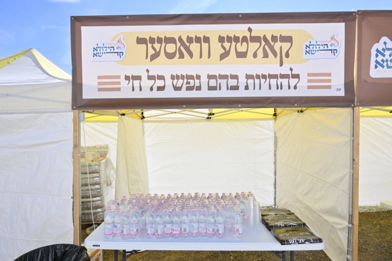 מאיר אדרי