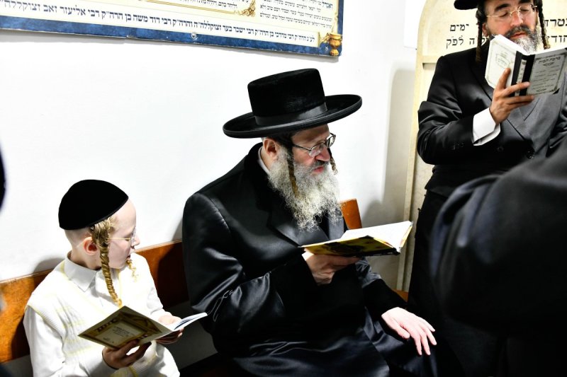 שוקי לרר