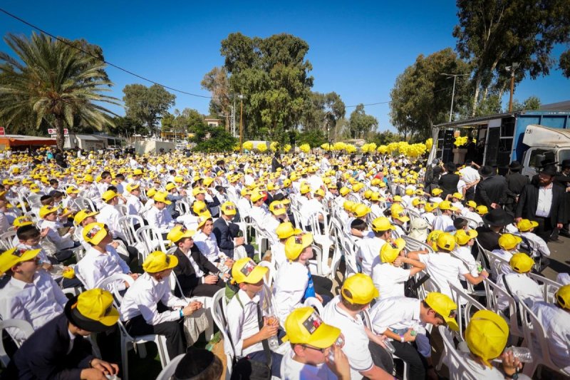 דניאל נפוסי