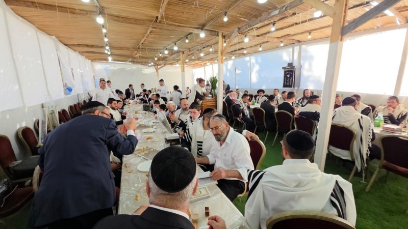 באדיבות המצלם