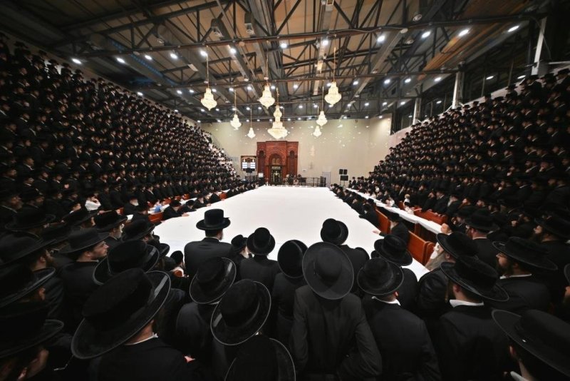 יהושע פרוכטר