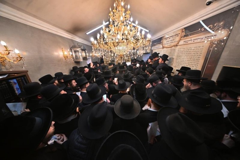 יהושע פרוכטר