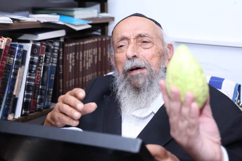 דוד ארזני