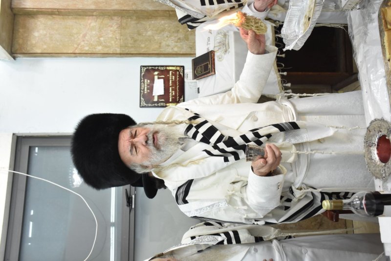 יהודה פרקוביץ