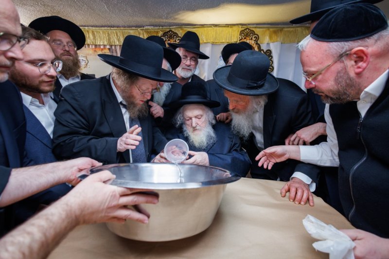 דניאל נפוסי