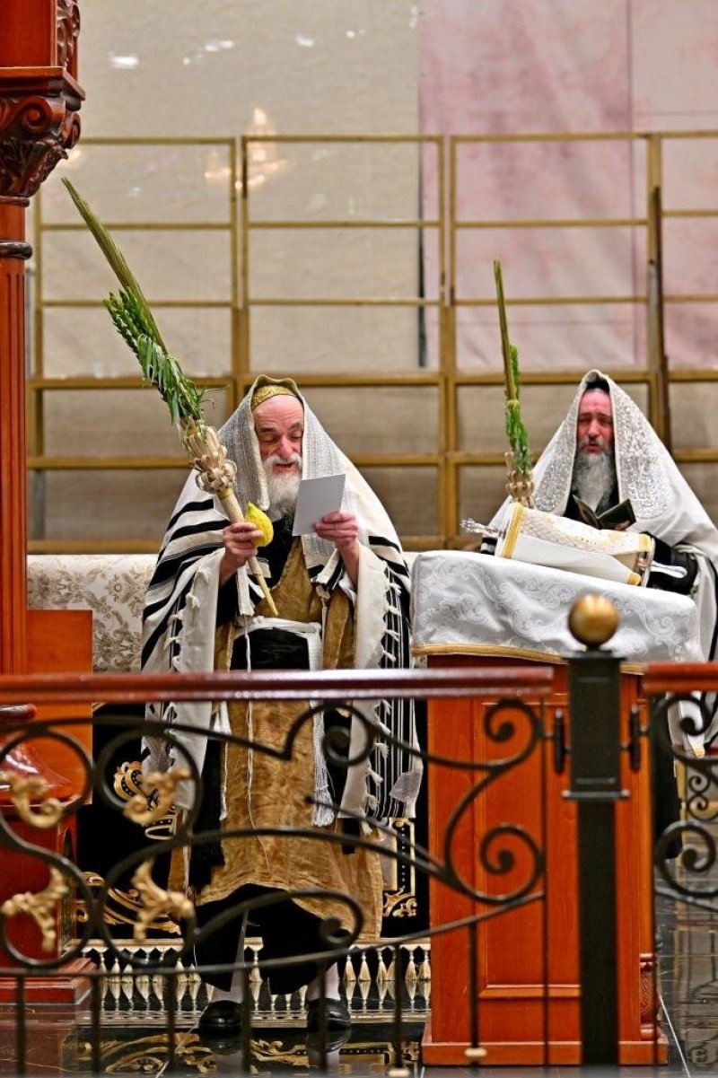 יהושע פרוכטר