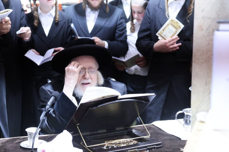 שוקי לרר