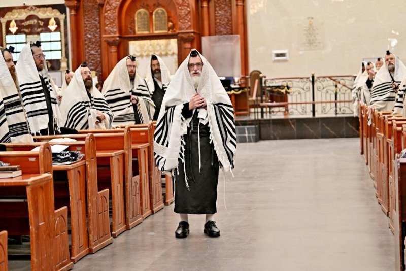 יהושע פרוכטר