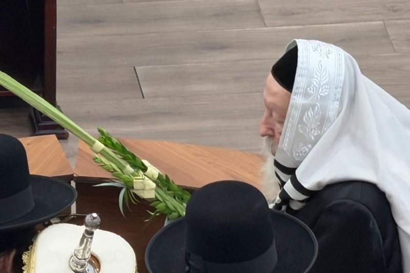 באדיבות המצלם