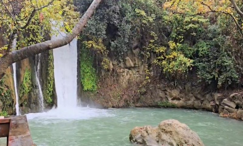תיעוד מרהיב מהבניאס: המפל השוצף במלוא עוצמתו