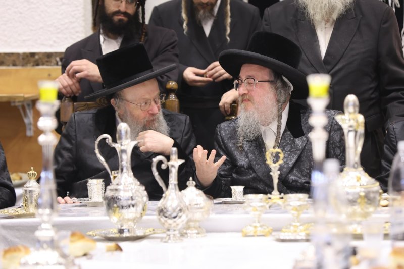 נתי אמרגי
