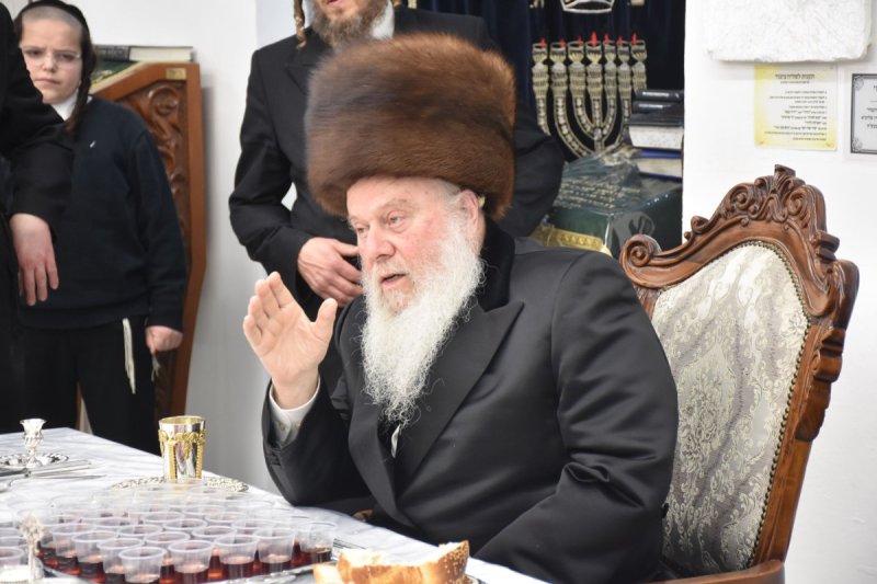 יהודה פרקוביץ