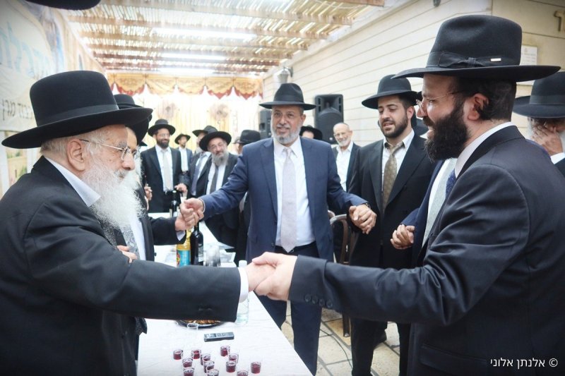 אלנתן אלוני