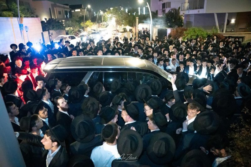 מאיר זלזניק