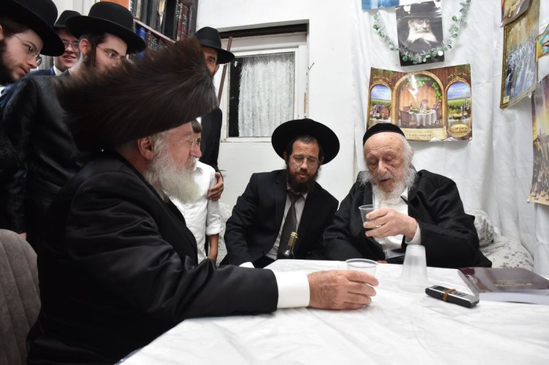 יהודה פרקוביץ